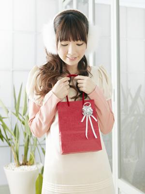 ネットでドッグフードを注文できます