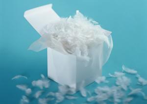 お気に入りのダッフィー衣装が見つかる